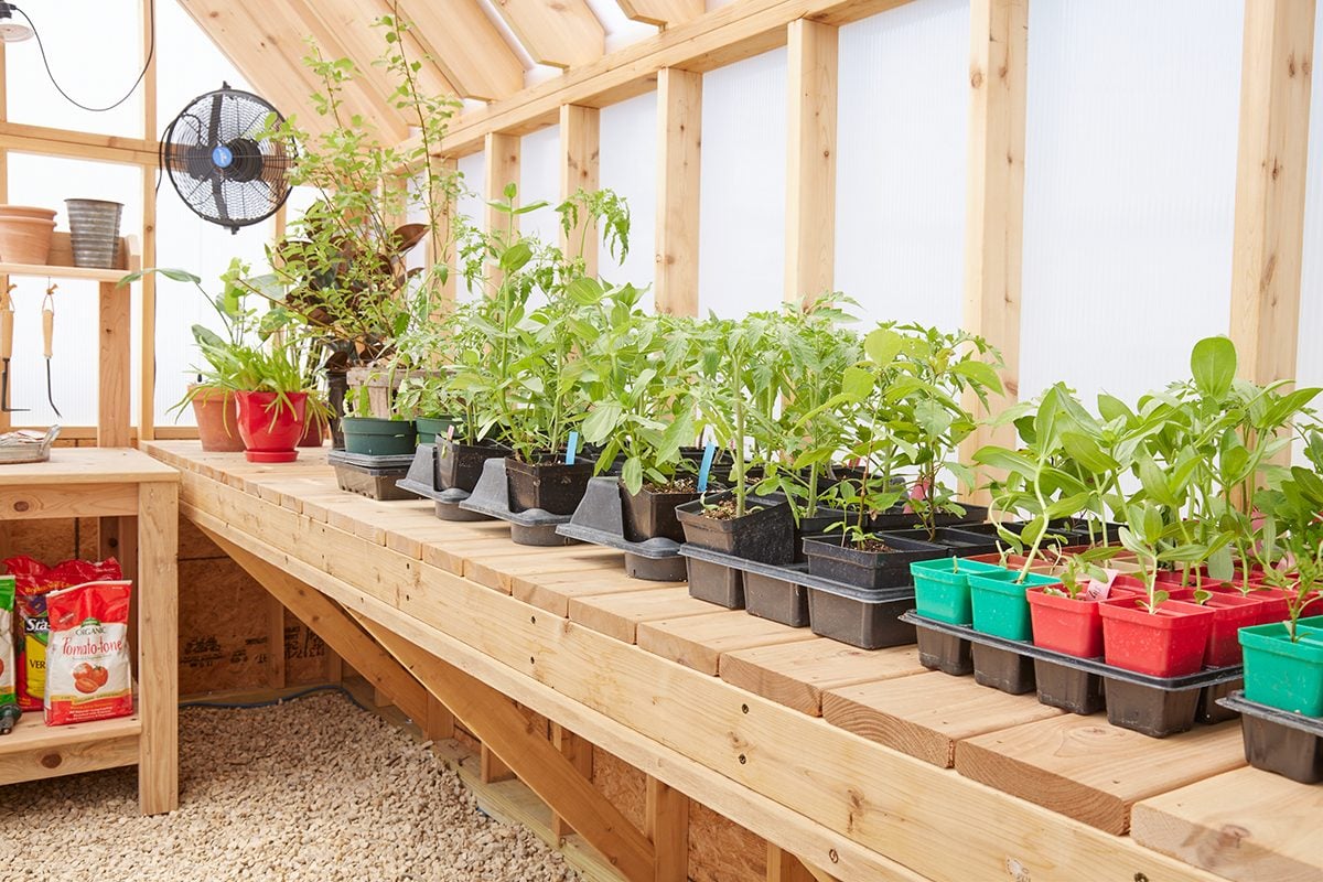 10 Smart Greenhouse Shelving Ideas to Maximize Space and Growth - Image 1
