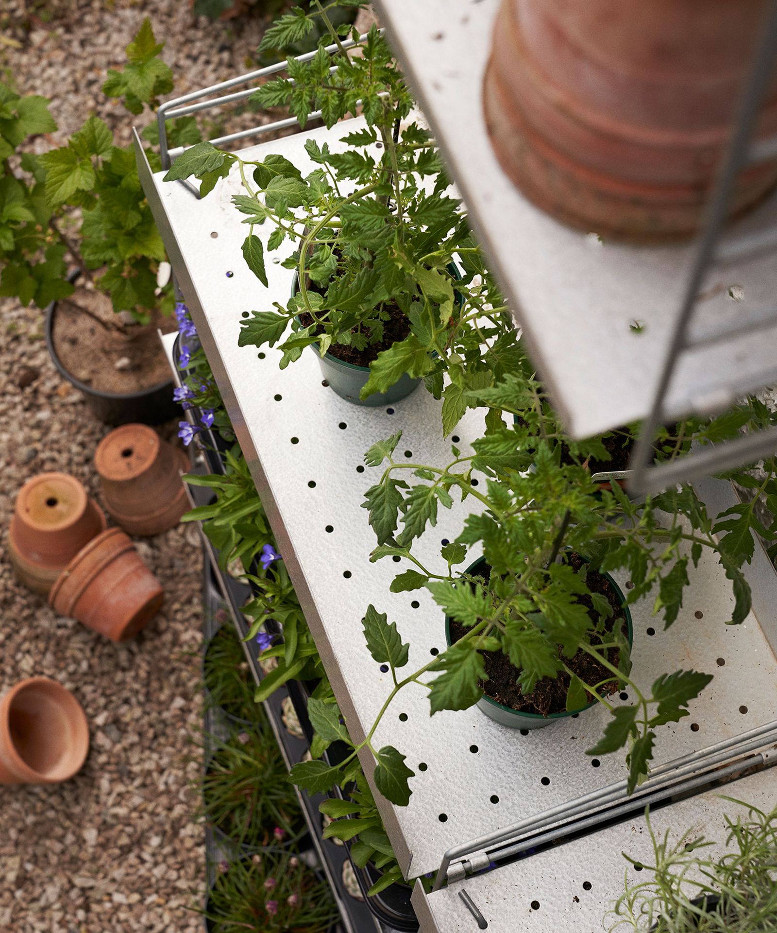 10 Smart Greenhouse Shelving Ideas to Maximize Space and Growth - Image 3