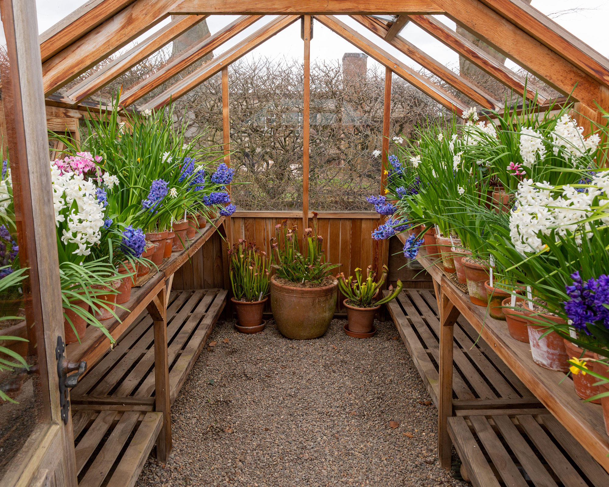 10 Smart Greenhouse Shelving Ideas to Maximize Space and Growth - Image 4