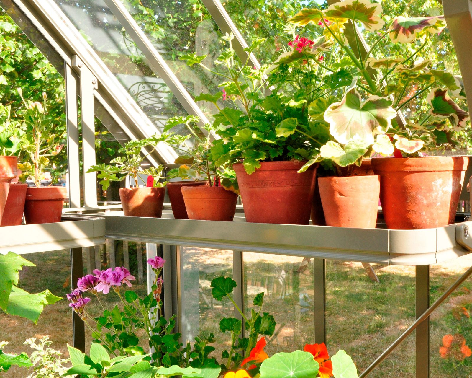 10 Smart Greenhouse Shelving Ideas to Maximize Space and Growth - Image 5