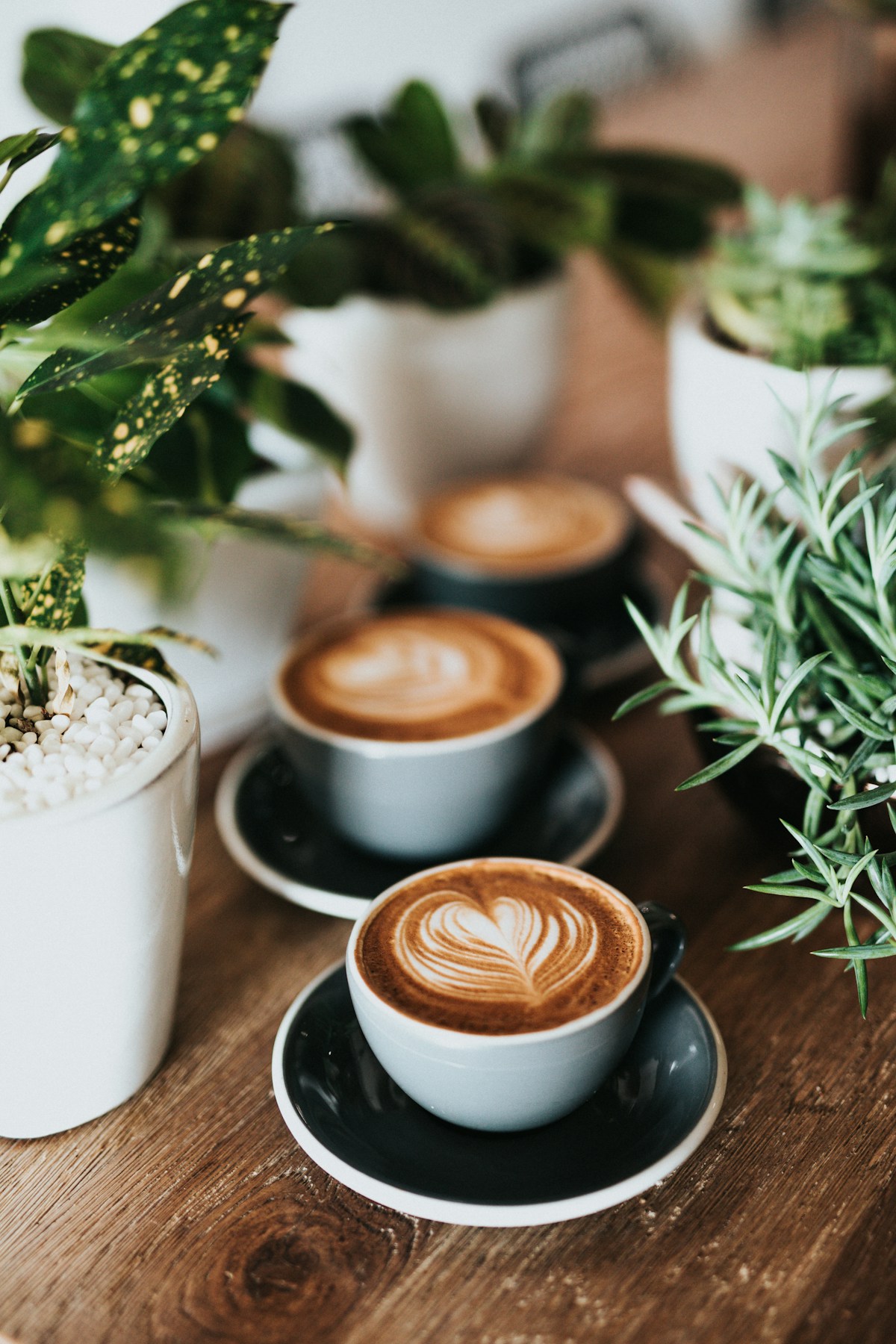 Kaffeemaschinen im Test: Die besten Modelle für perfekten Kaffeegenuss